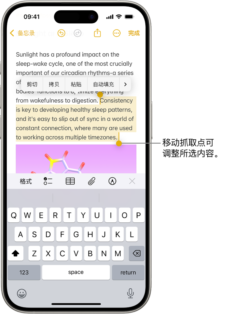 “备忘录” App 的备忘录中选中了文本。所选文本上方是“剪切”、“拷贝”、“粘贴”和“自动填充”按钮。所选文本高亮标记,并带有用于从任一端调整所选内容的抓取点。