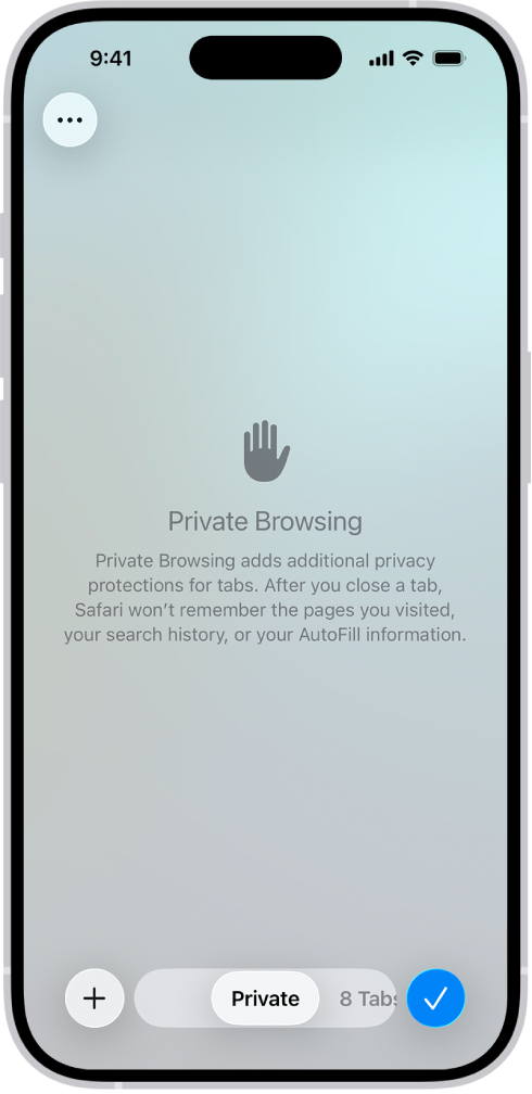A Private Browsing screen in the Safari app. The word Private appears in the field at the bottom of the screen.