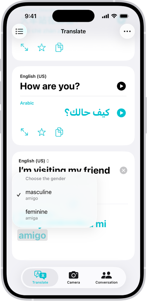 The Translation tab, showing a translated phrase from English to Spanish, and a word highlighted in gray with different gender variations listed below.