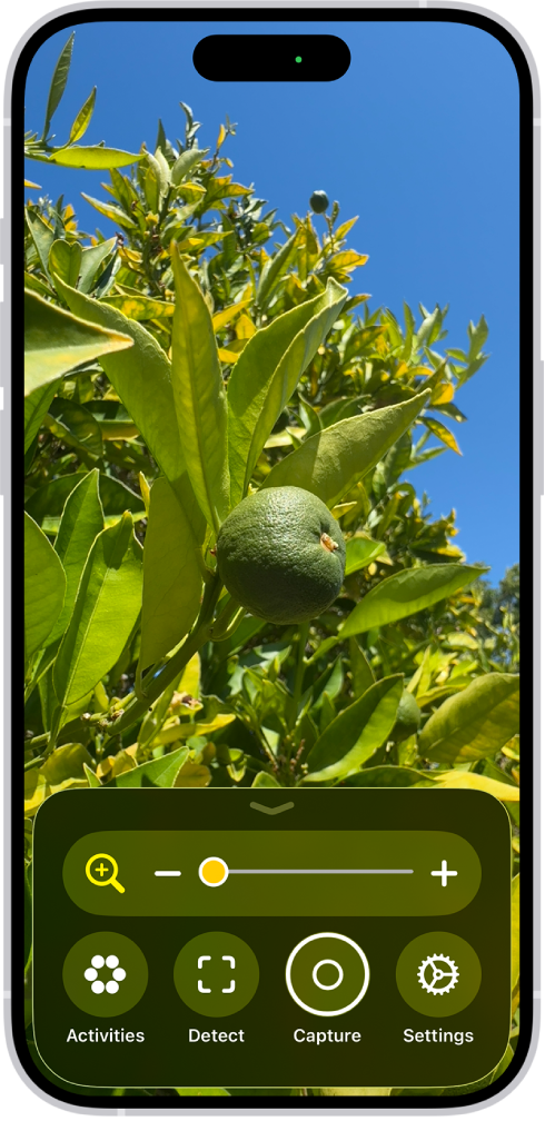 The Magnifier app showing a close-up of an unripe orange.