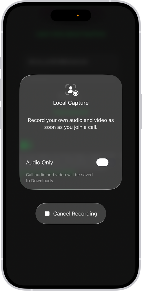The screen for initiating Local Audio and Visual capture of your side of a videoconference.