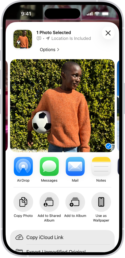 A selected photo is displayed in the top half of the iPhone screen, with a row of share options below. Additional options appear below those, including Copy Photo, Add to Shared Album, Add to Album, and Use as Wallpaper.