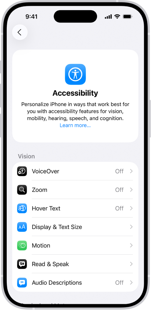 The Accessibility screen in Settings showing the built-in features for Vision support.