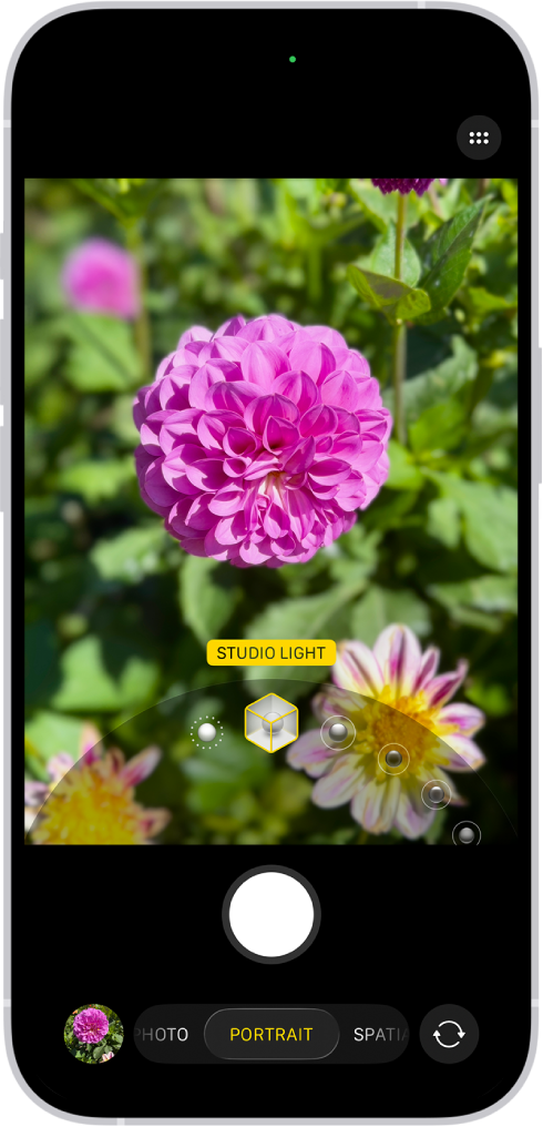 The Camera screen in Portrait mode; in the viewfinder, the subject is sharp and the background is blurred. The dial to select Portrait Lighting is open in the bottom of the frame and Studio Light is selected.