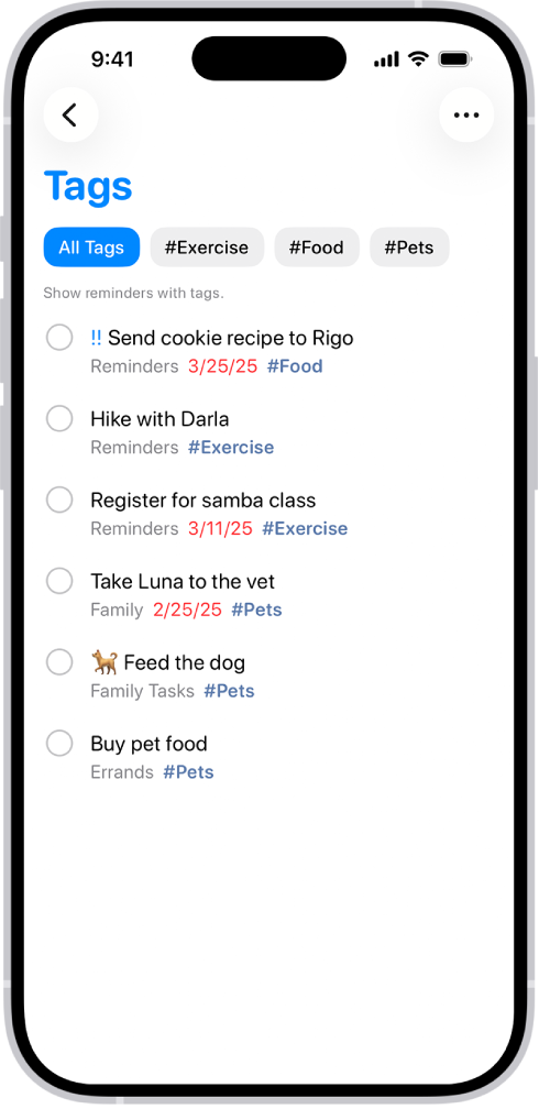 Una lista de recordatorios etiquetados en la app Recordatorios. Los botones a lo largo de la parte superior muestran etiquetas adicionales que se pueden aplicar.