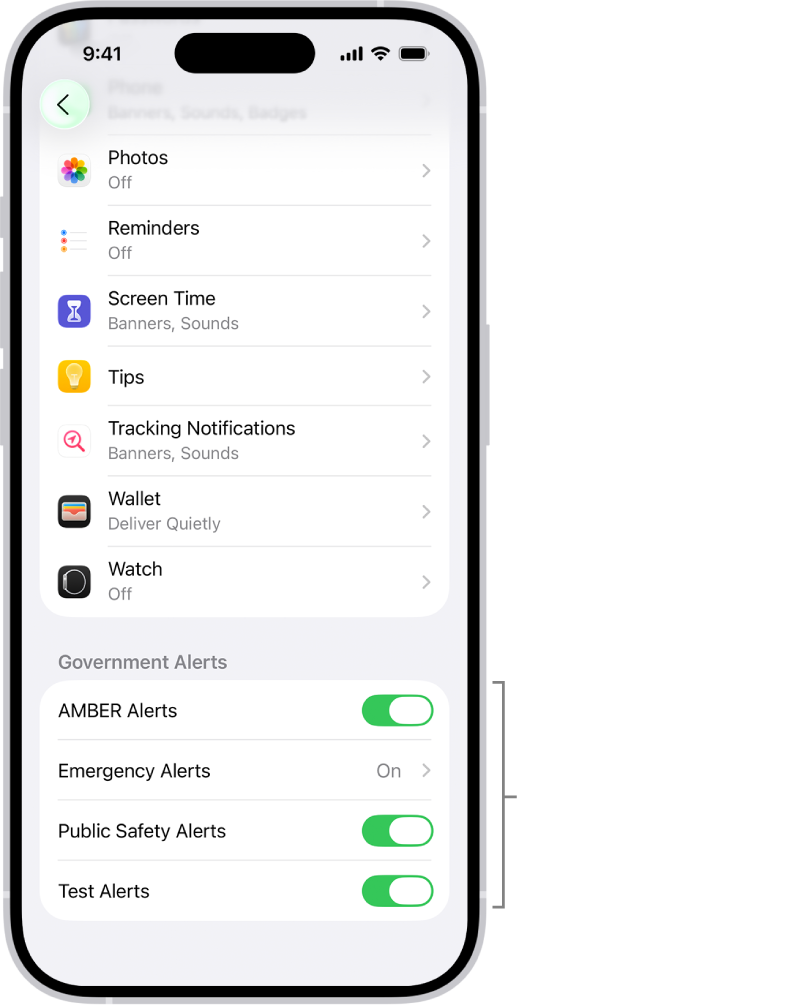 La pantalla Notificaciones mostrando la opción Alertas gubernamentales, la cual se puede activar para recibir estas alertas.
