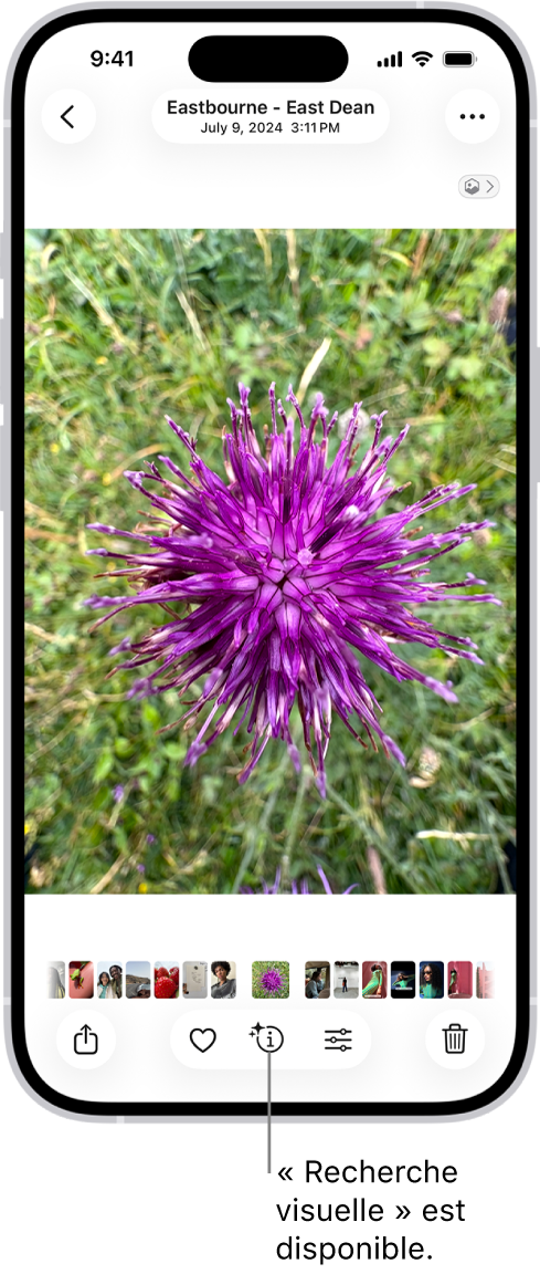 Une photo est ouverte dans l’app Photos. En bas de l’écran, le bouton Infos affiche une icône indiquant que des informations « Recherche visuelle » sont disponibles.