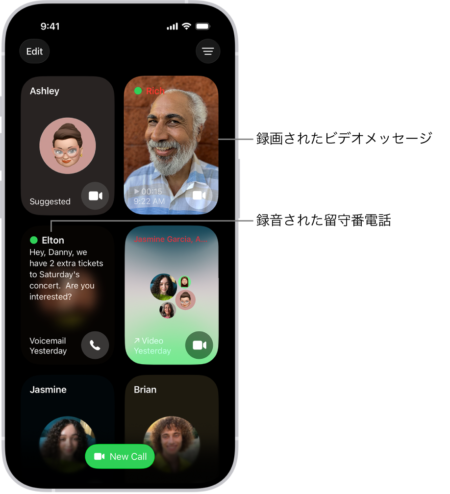 FaceTimeの通話履歴。連絡先候補、録画されたビデオメッセージ、留守番電話、グループFaceTimeのビデオ通話が表示されています。