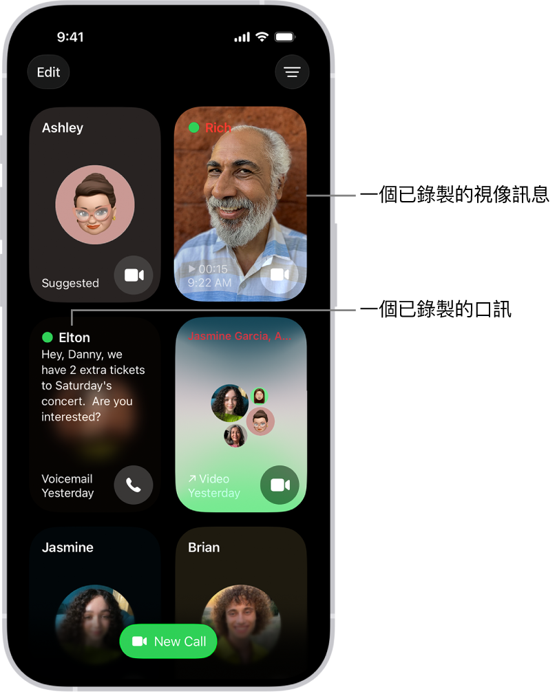 FaceTime 通話記錄，其中顯示建議的聯絡人、已錄製的視像訊息、口訊，以及群組 FaceTime 視像通話。