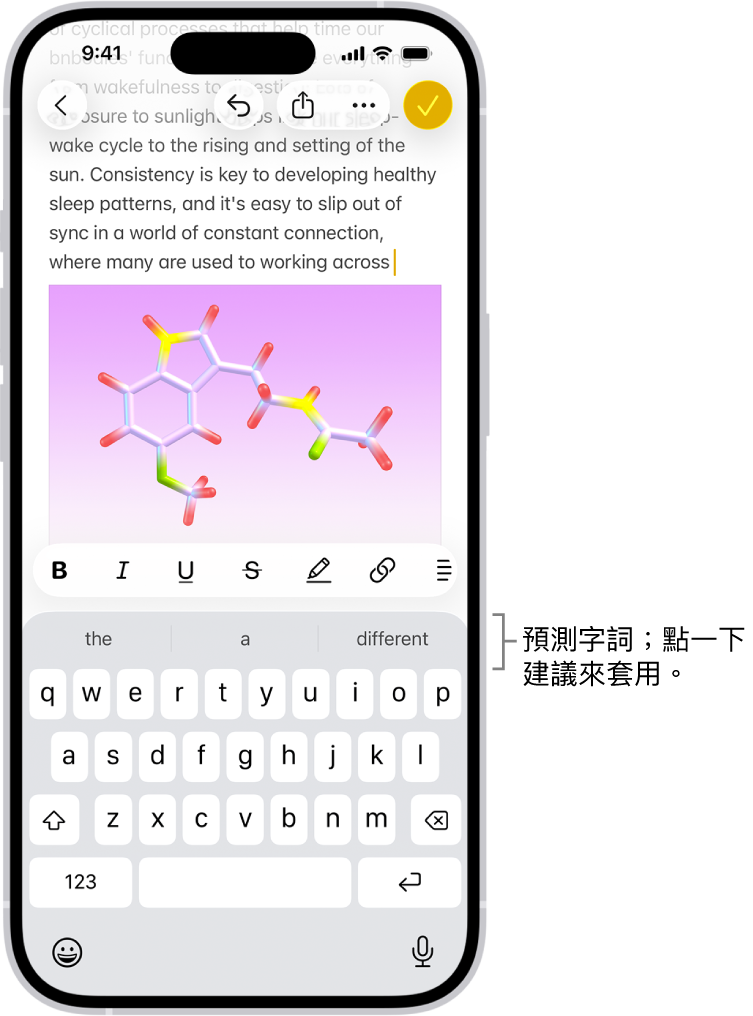 螢幕鍵盤在「訊息」App 中打開。在文字欄位中輸入文字，鍵盤上方是下一個字詞的預測文字建議。