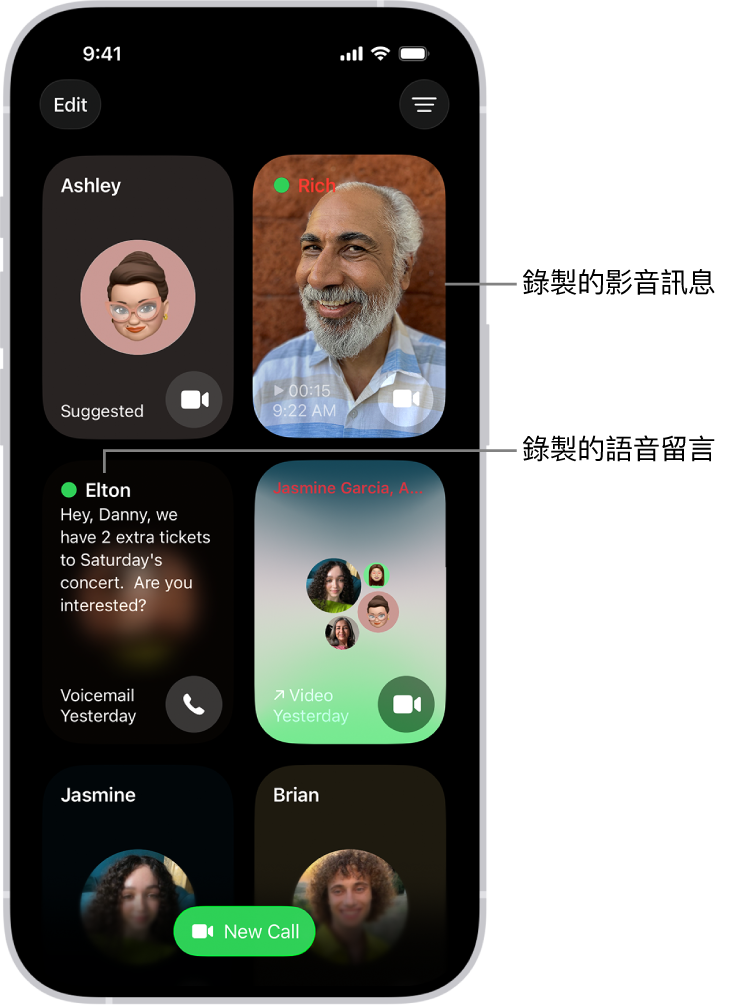 FaceTime 通話記錄，顯示一個建議的聯絡人、一段錄製的影音訊息、一則語音留言和一通群組 FaceTime 視訊通話。