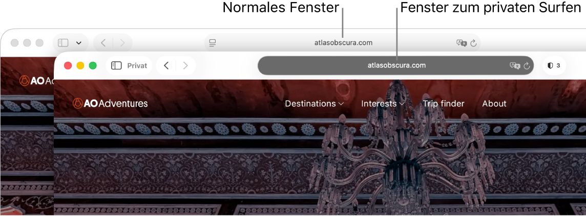 Ein normales Safari-Fenster auf einem Mac mit hellem intelligenten Suchfeld und ein privates Safari-Fenster mit dunklem intelligenten Suchfeld.