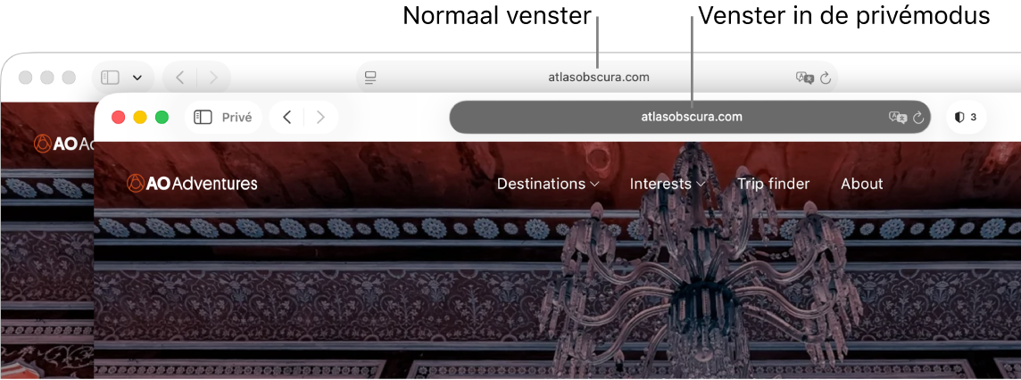 Een normaal Safari-venster op een Mac met het lichte slimme zoekveld, en een privévenster in Safari met het donkere slimme zoekveld.