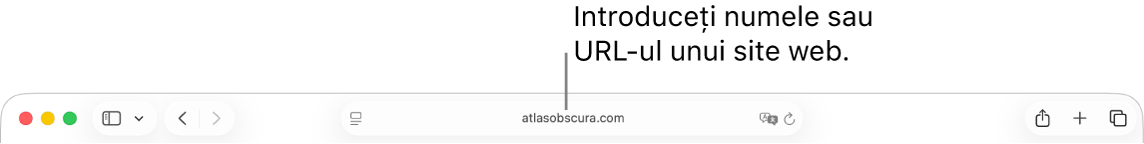 Câmpul de căutare inteligentă, aflat în partea de mijloc a barei de instrumente Safari.