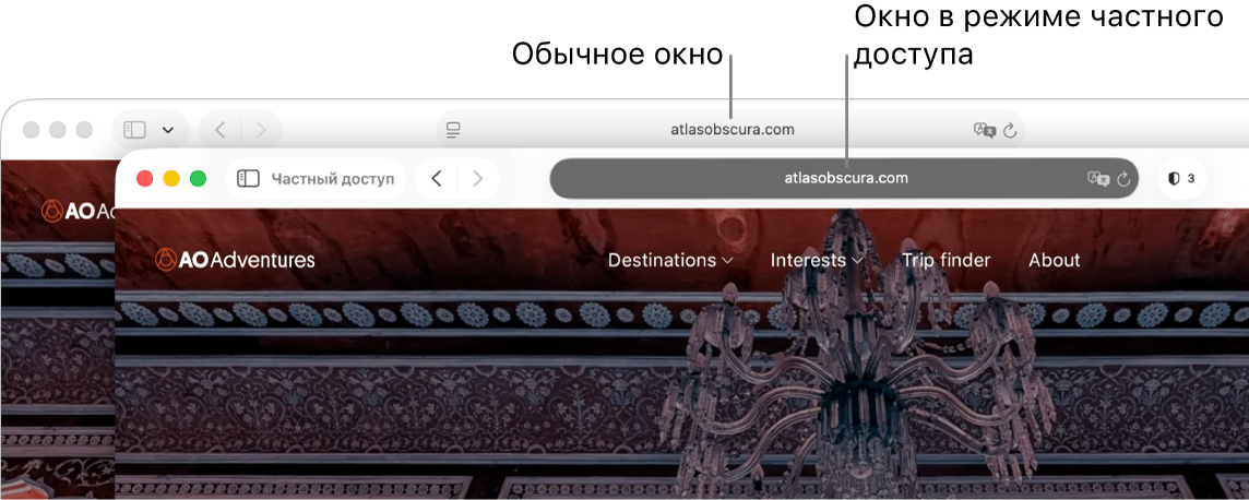 Обычное окно Safari на Mac со светлым полем смарт-поиска и частное окно Safari с темным полем смарт-поиска.