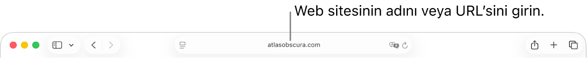 Safari araç çubuğunun ortasında bulunan akıllı arama alanı.