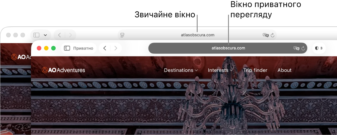 Звичайне вікно Safari на Mac зі світлим полем динамічного пошуку та приватне вікно Safari з темним полем динамічного пошуку.