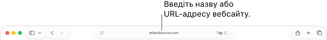 Поле динамічного пошуку, розташоване посередині панелі інструментів Safari.