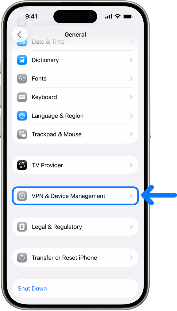 An iPhone screen showing VPN & Device Management selected.