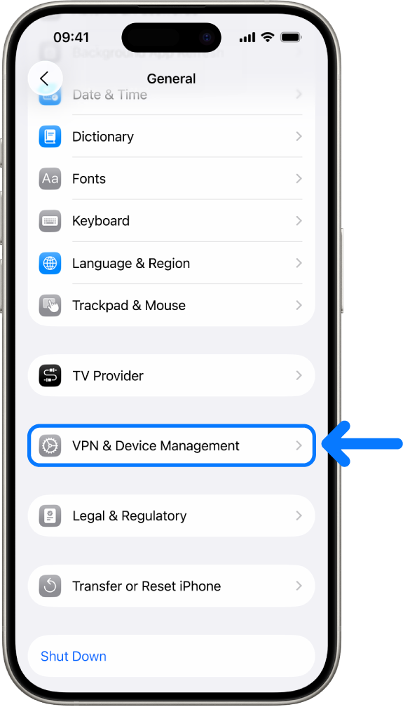 An iPhone screen showing VPN & Device Management selected.