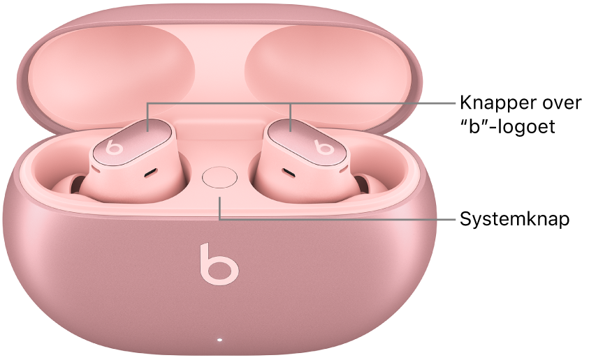 Billede af Beats Studio Buds +, der viser placeringen af knapperne over “b”-logoet på øretelefonerne og placeringen af systemknappen i opladningsetuiet.