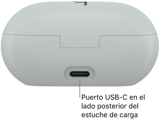 Puerto de carga USB-C en la parte posterior del estuche de carga de los Beats Solo Buds.
