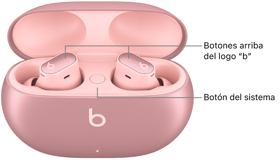 Imagen de los Beats Studio Buds + mostrando la ubicación de los botones arriba del logotipo “b” en los audífonos y la ubicación del botón del sistema dentro del estuche de carga.