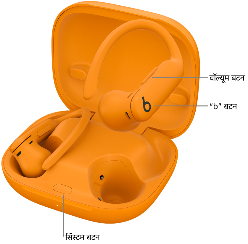 Powerbeats Pro 2 की इमेज जिसमें इयरबड्स पर "b" बटन का स्थान और चार्जिंग केस के अंदर सिस्टम बटन का स्थान दिखाया गया है।