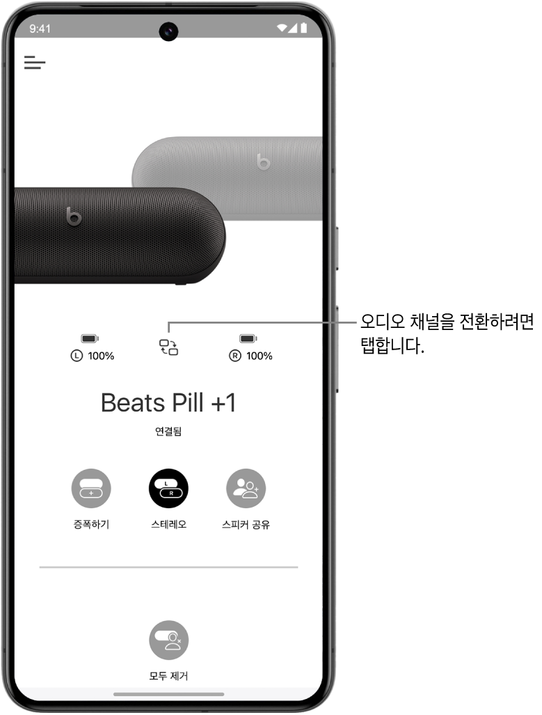스테레오 그룹으로 연결된 두 개의 Beats Pill 스피커와 오디오 채널을 변경하는 버튼이 표시된 Beats 앱 기기 화면.