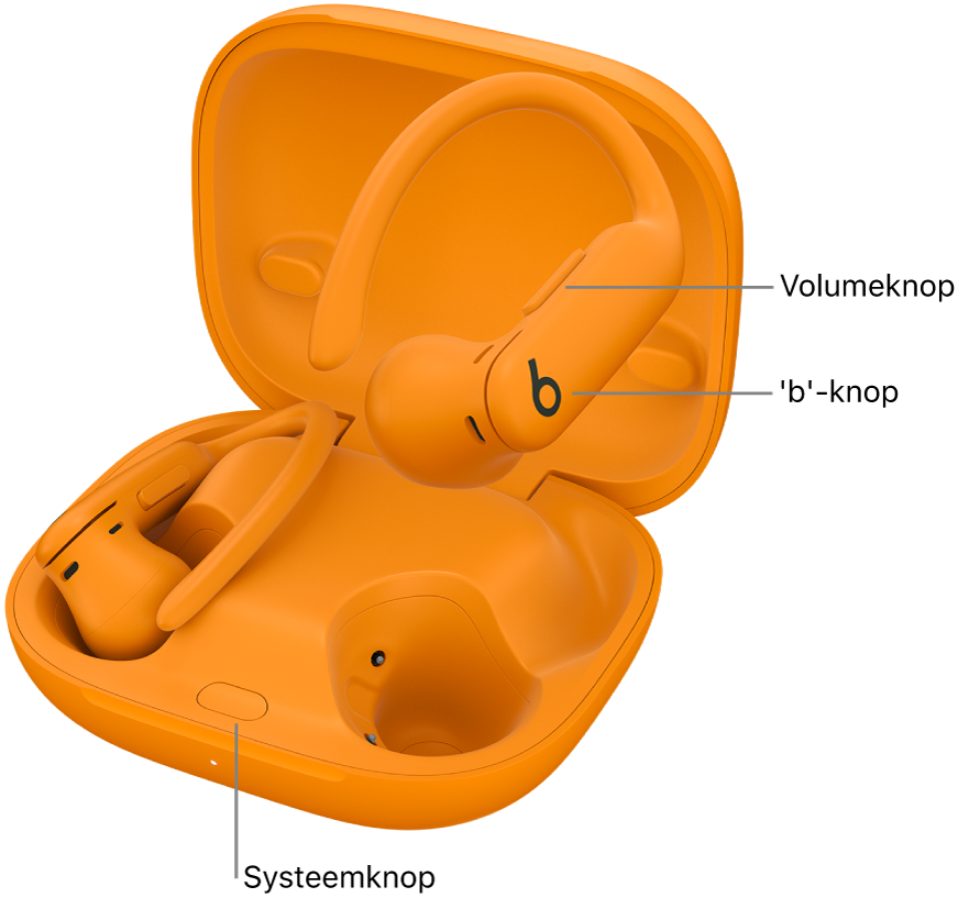 Afbeelding van de Powerbeats Pro 2 met de locatie van de 'b'-knop op een oortje en de locatie van de systeemknop in de oplaadcase.