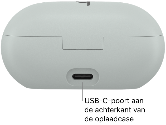 De USB-C-oplaadpoort aan de achterkant van de oplaadcase van de Beats Solo Buds.