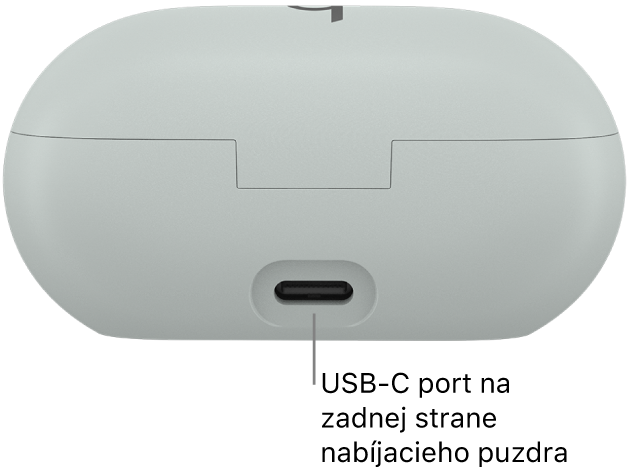 Nabíjací port USB-C na zadnej strane nabíjacieho puzdra Beats Solo Buds.
