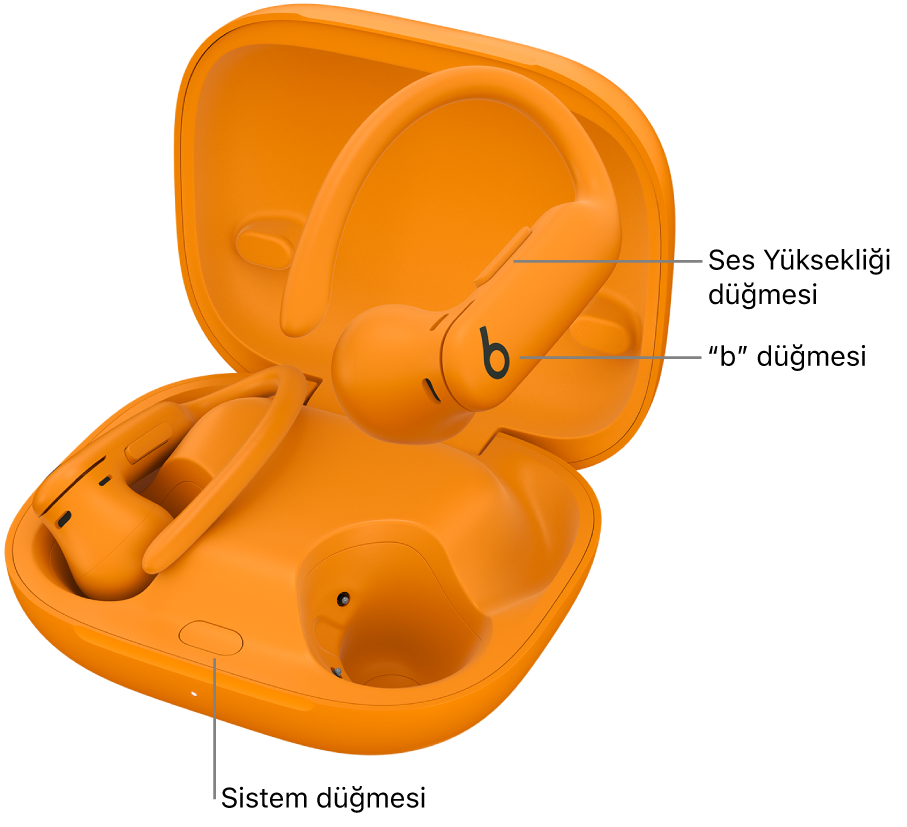 Kulaklıklarda “b” düğmesinin konumunu ve şarj kutusunun içinde sistem düğmesinin konumunu gösteren Powerbeats Pro 2 görüntüsü.