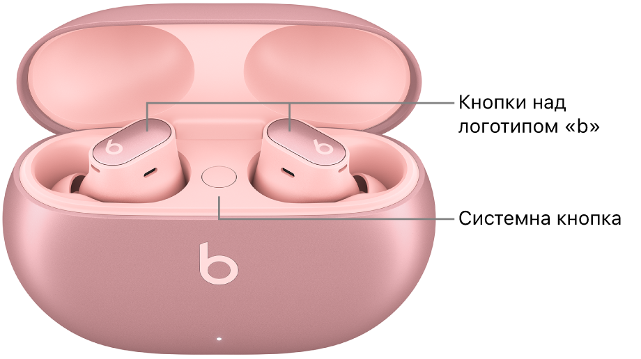 Зображення Beats Studio Buds +, на якому показано розташування кнопок над логотипом «b» на вставних навушниках і місце системної кнопки у футлярі для заряджання.