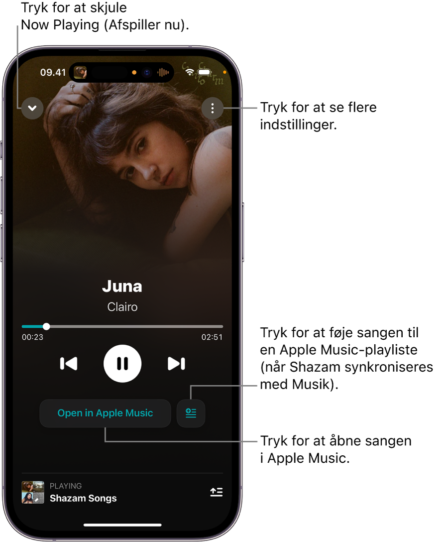 Betjeningsmuligheder på skærmen Now Playing (Afspilles nu)