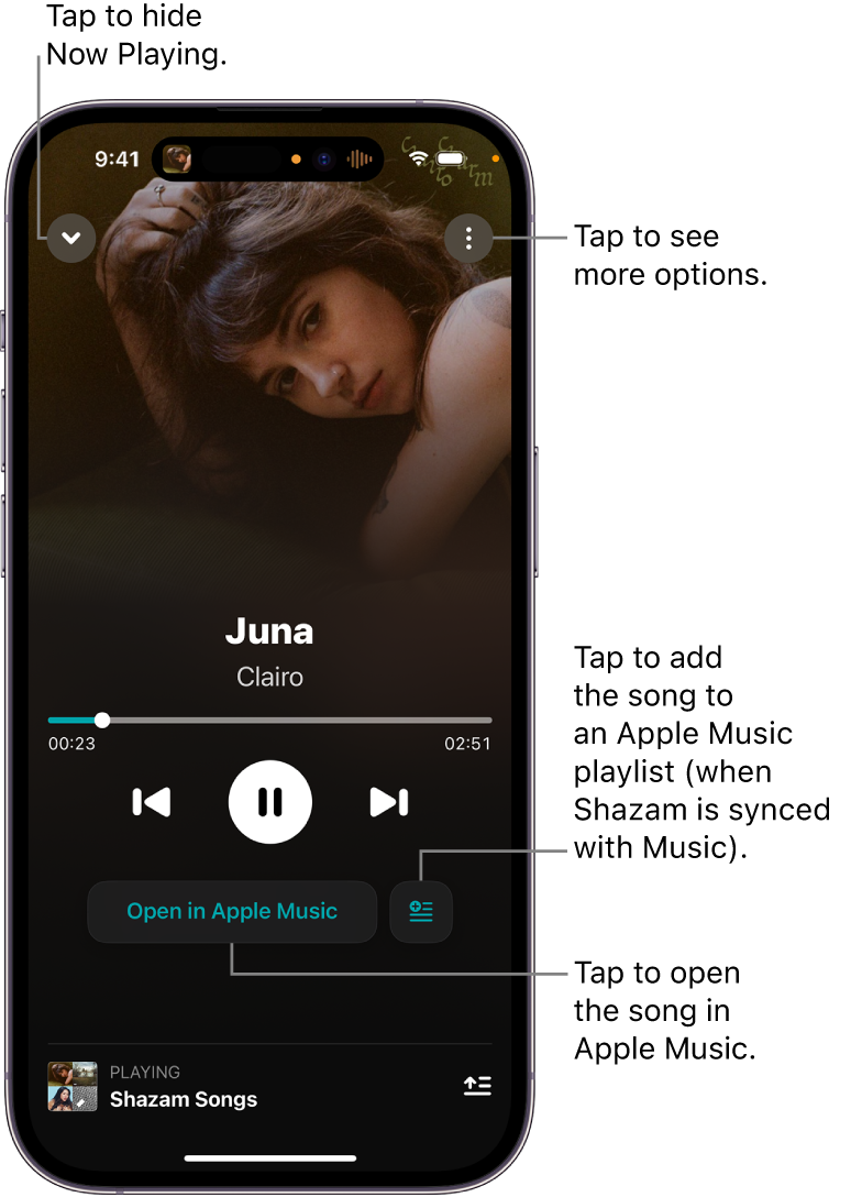 Now Playing screen controls