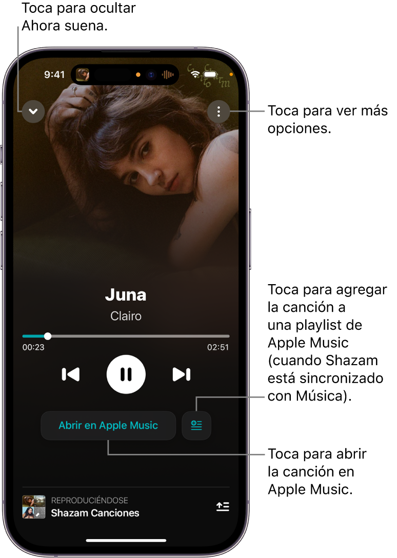 Controles de la pantalla “Ahora suena”