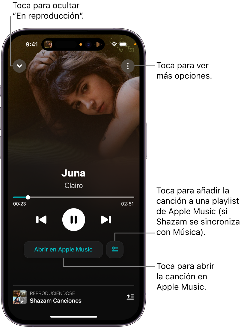 Controles de la pantalla “Now Playing” (En reproducción)