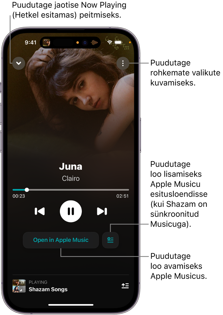Kuva Now Playing (Hetkel mängimas) juhikud