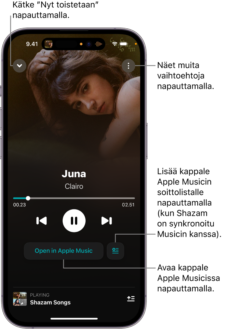 Toistossa nyt -näytön säätimet