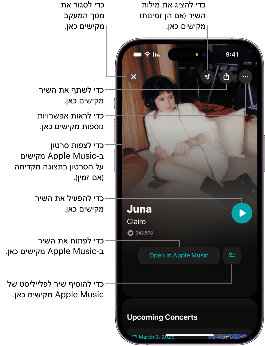 פקדי מסך הפרטים של שיר ב-iPhone