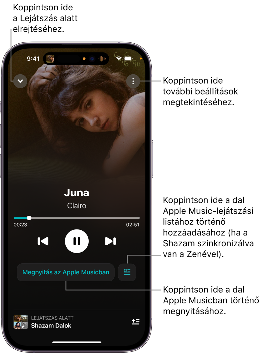 Now Playing (Lejátszás alatt) képernyő vezérlői