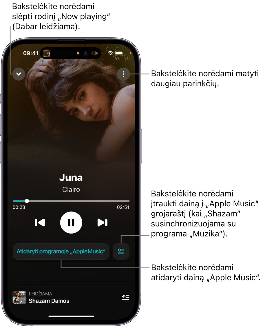 Ekrano „Now Playing“ valdikliai