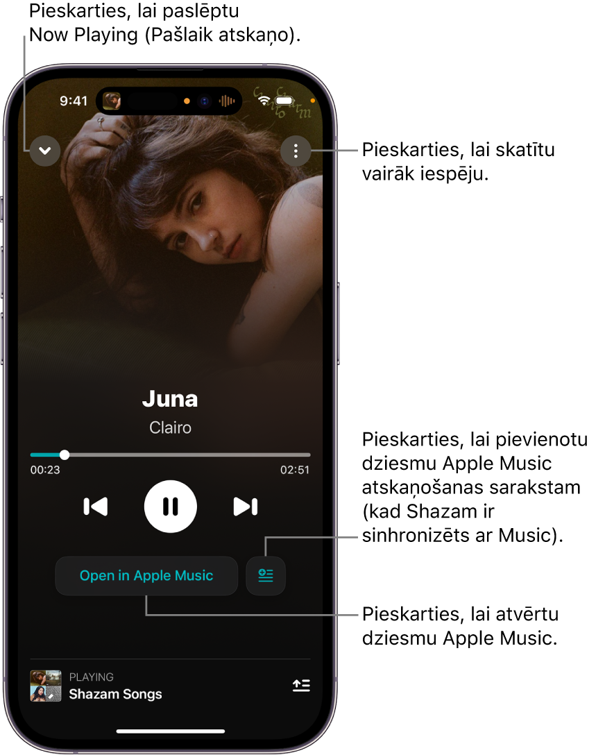 Ekrāna Now Playing (Tagad atskaņo) vadības elementi