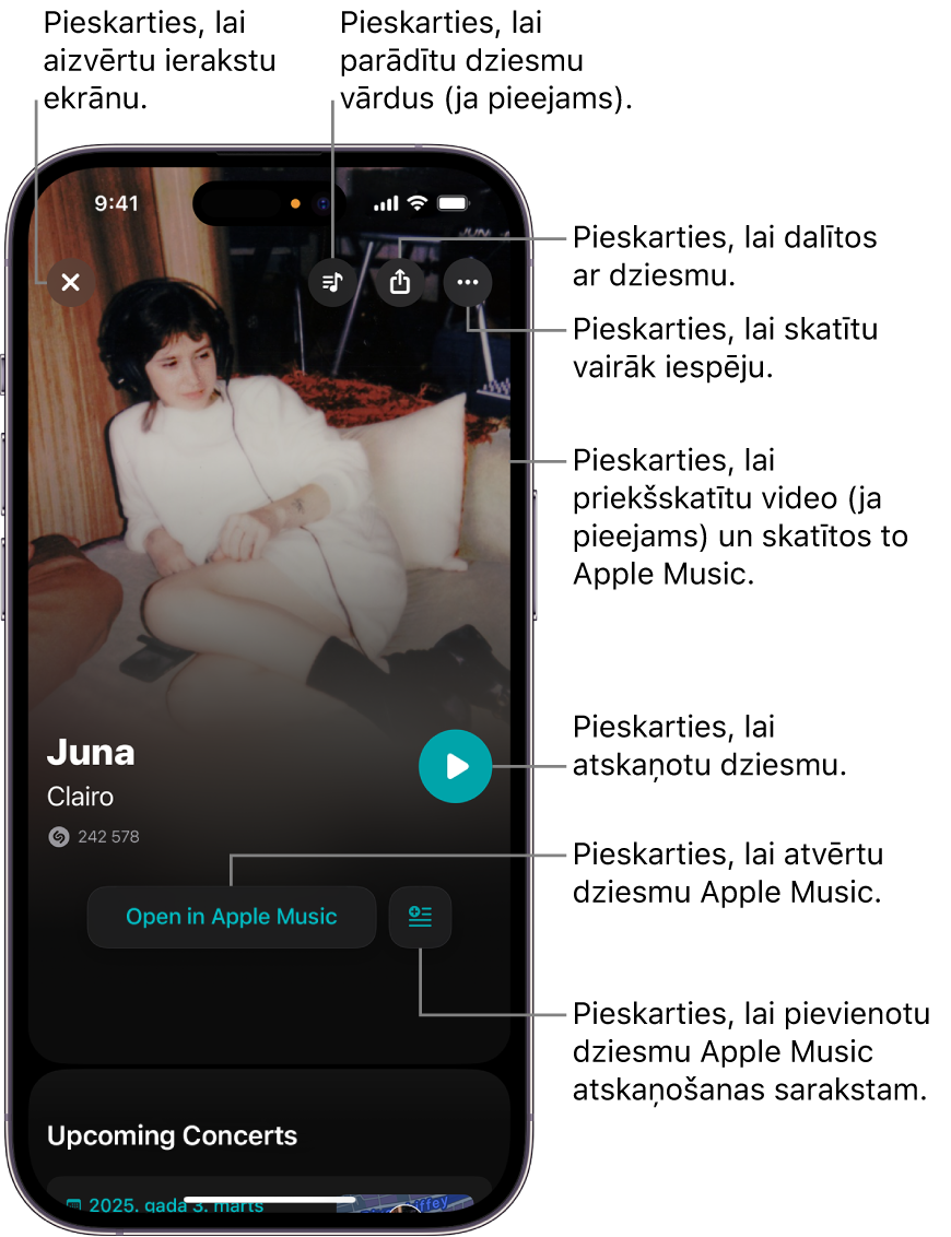 Ieraksta ekrāna vadības elementi iPhone tālrunī