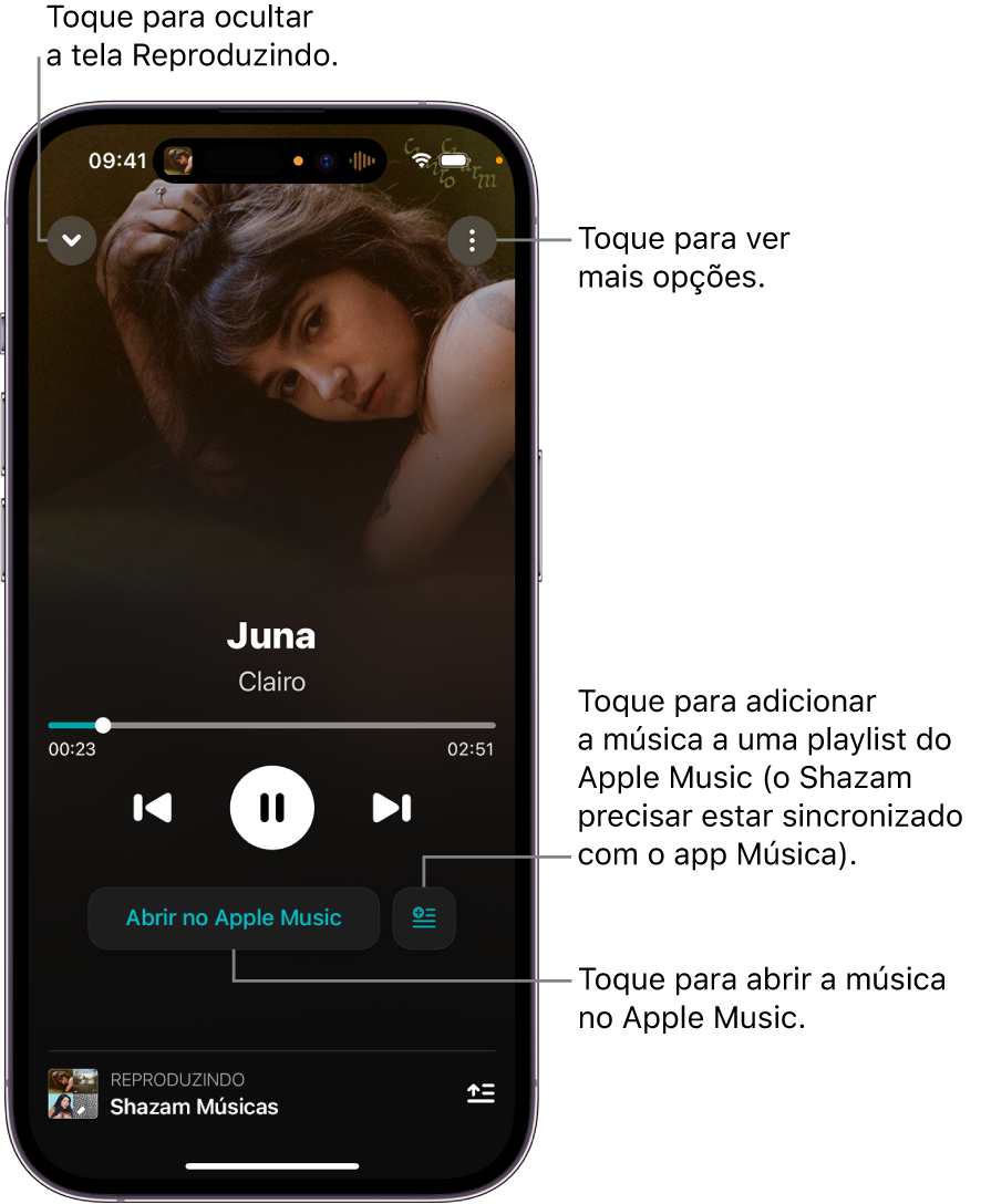 Controles da tela Reproduzindo