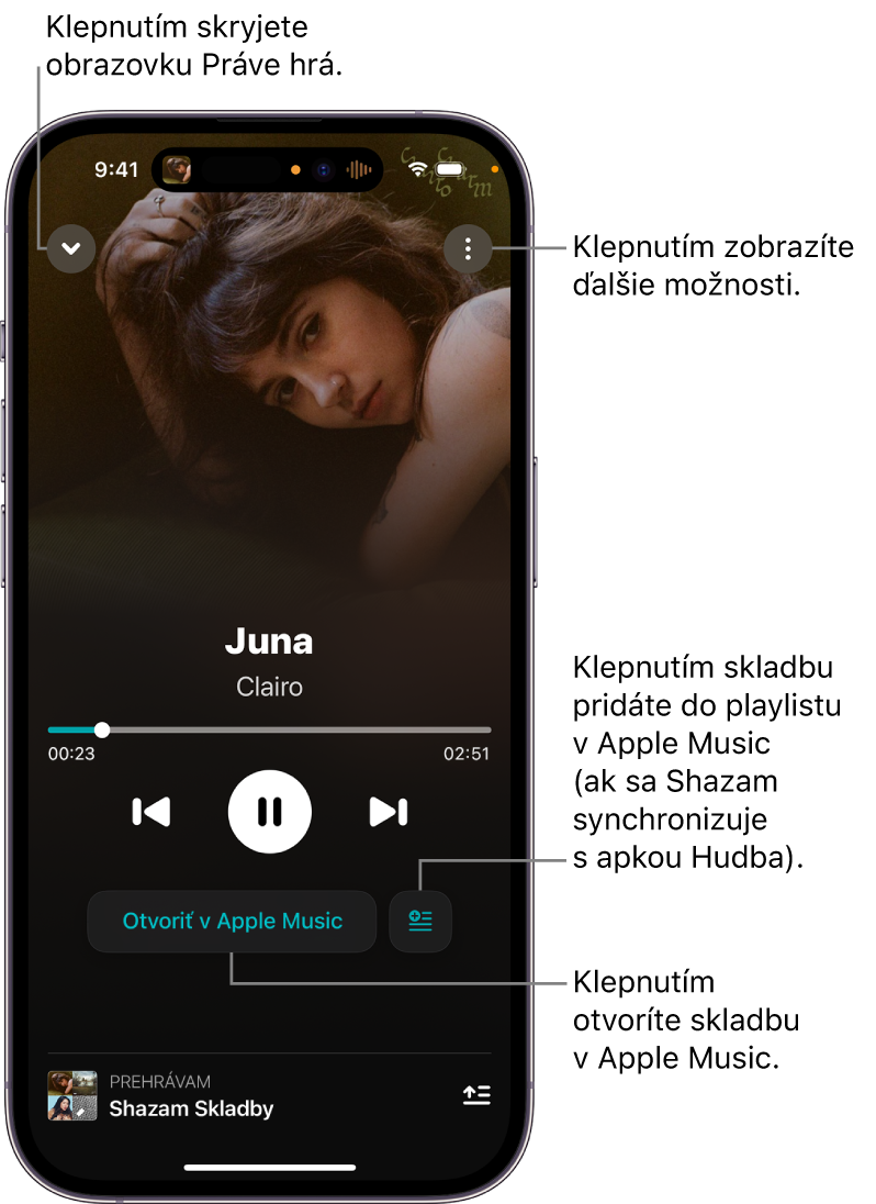Ovládacie prvky na obrazovke Práve hrá