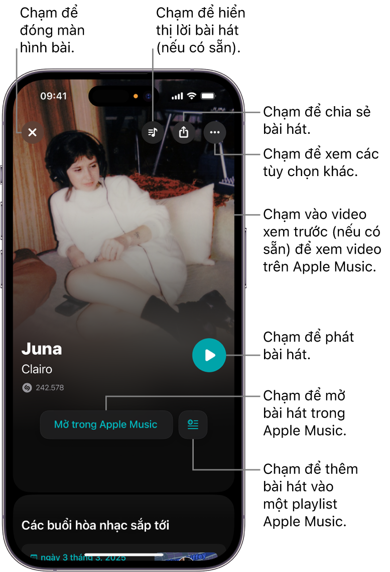 Các điều khiển trong màn hình bài trên iPhone