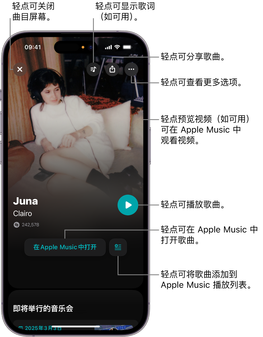 iPhone 上的曲目屏幕控制