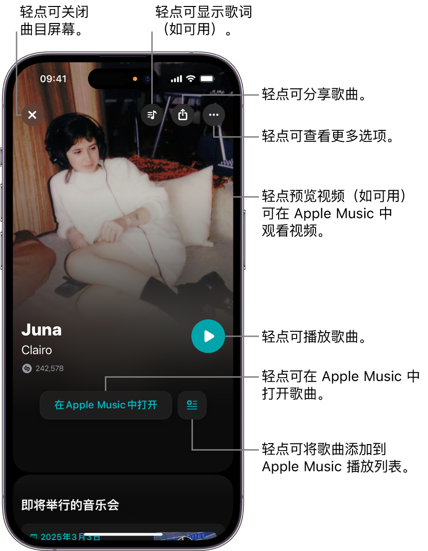 iPhone 上的曲目屏幕控制